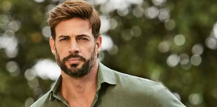 William Levy, Actor, arrest