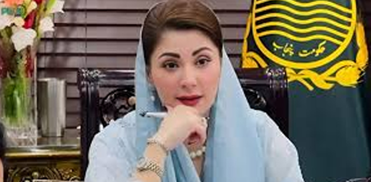 wheat deregulation, free market policy, private sector wheat procurement, Maryam Nawaz
