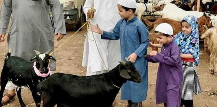 Eidul Azha 2025, Eid in Pakistan,