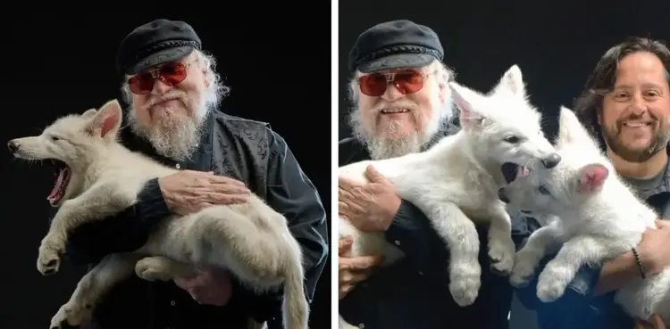 George R.R. Martin, Game of Thrones, dire wolf, dire wolves