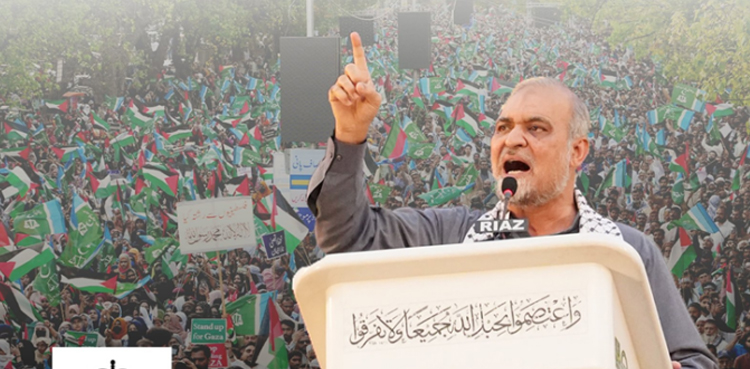 Gaza March, Hafiz Naeem ur Rehman, Palestine Solidarity, Israeli Oppression, Jamaat-e-Islami