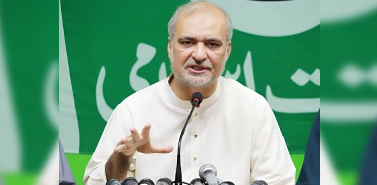 Israel’s aggression in Gaza, Jamaat-e-Islami, ji, Hafiz Naeem-ur-Rehman