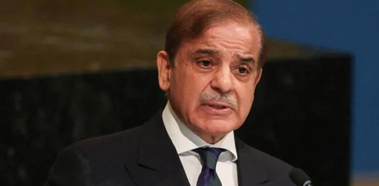 International Day of Parliamentarism, Shehbaz Sharif