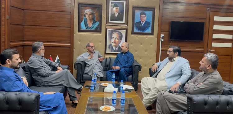 PPP, MQM-P, senate seat