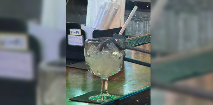 Virginia woman, baby snake, margarita, restaurant incident, Henrico County