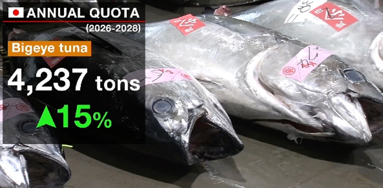 Japan tuna quota, Indian Ocean bigeye tuna, sustainable fishing, tuna fishing regulations, Indian Ocean Tuna Commission