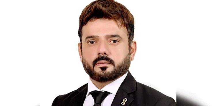 Karachi Bar President, Sindh Govt, canal protest cases