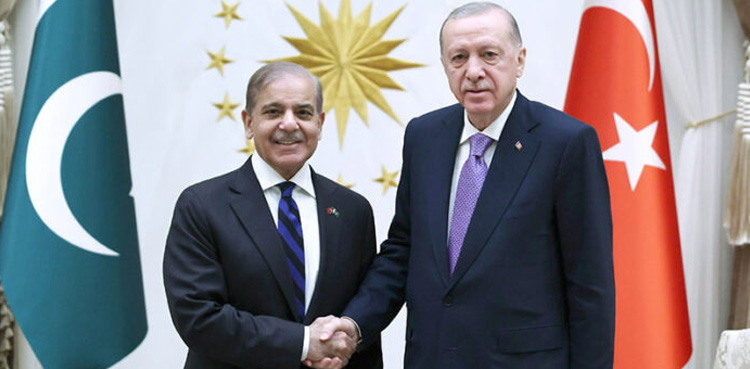 Recep Tayyip Erdogan, Turkish President, Pakistan, India, support