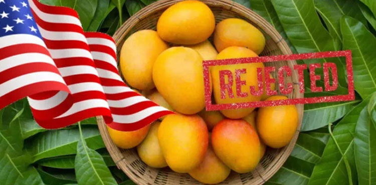 Mango-shipments,-US,-India,-reject