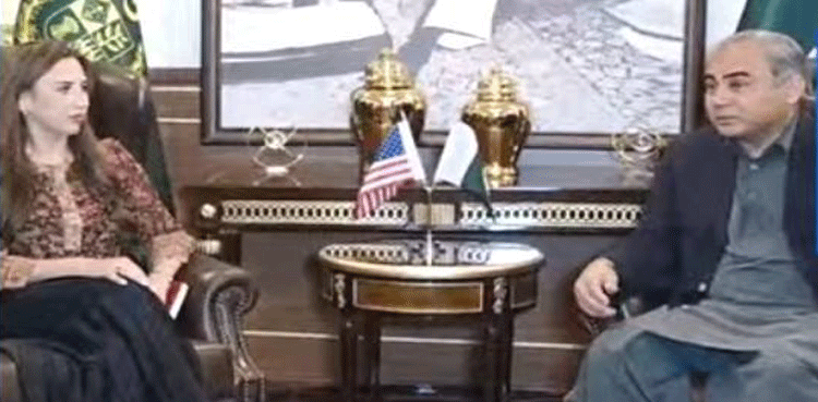 Mohsin-Naqvi.-US-envoy,-Pahalgam-tension