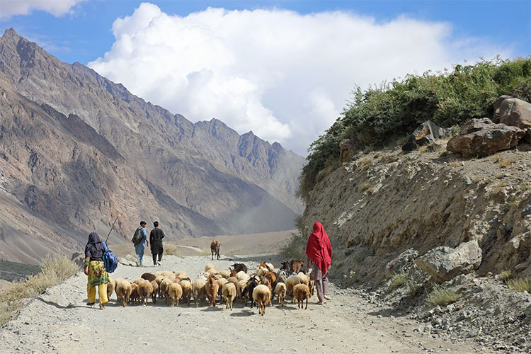 Musadik Malik: Pakistan’s climate minister on Indus Water Treaty