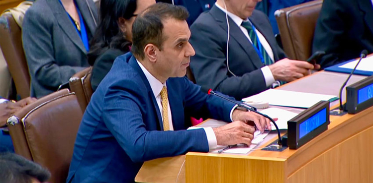 Pakistan-India, UNSC, India,
