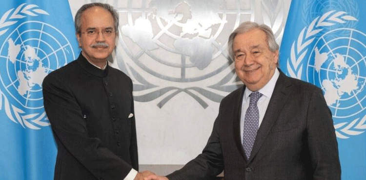 Pakistan-evnoy,-UN-chief,-Pahalgam,-meeting,-South-Asia-security