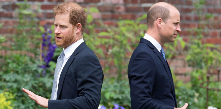 Prince William, Prince Harry, Royal Family