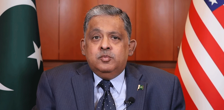 Pahalgam, Pakistan, Pakistan US envoy, India Pakistan escalation