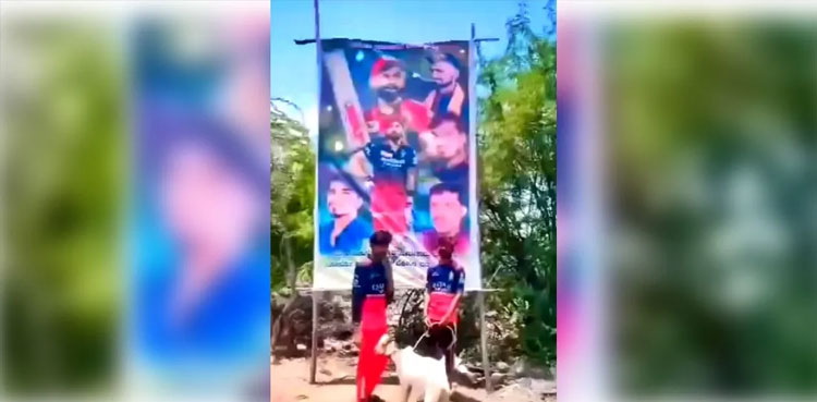 Virat Kohli goat