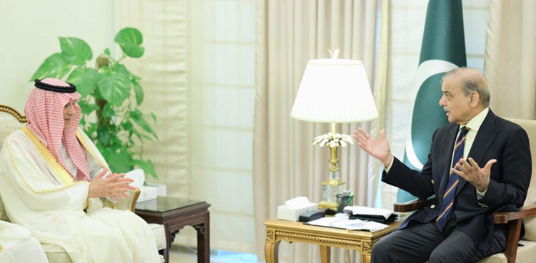 PM Shehbaz Saudi minister