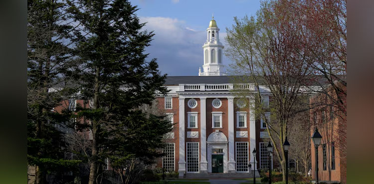 Harvard university Trump