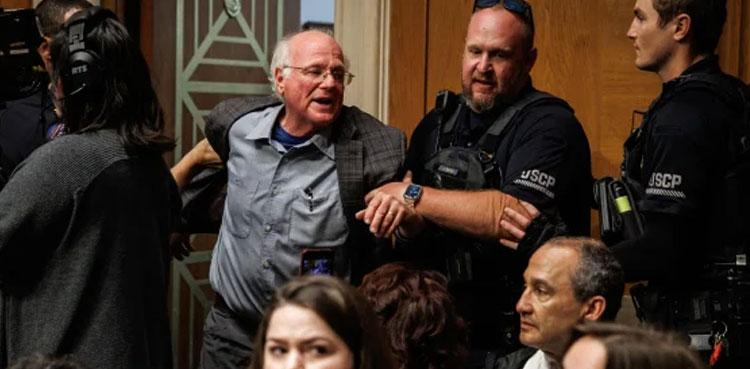 Ben & Jerry, Ben Cohen, arrested, Gaza
