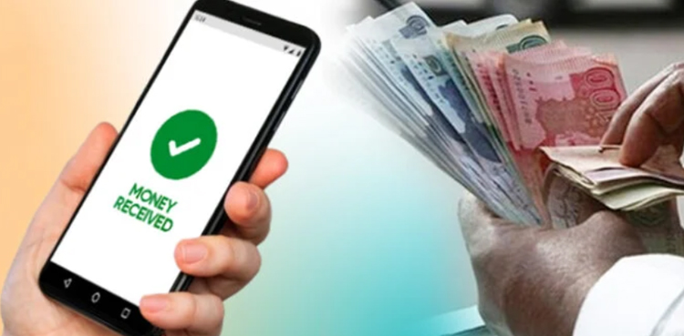 Punjab Forest Department, digital wage payment, branchless banking, financial transparency