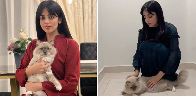 Yashma Gill mourns her cat's death