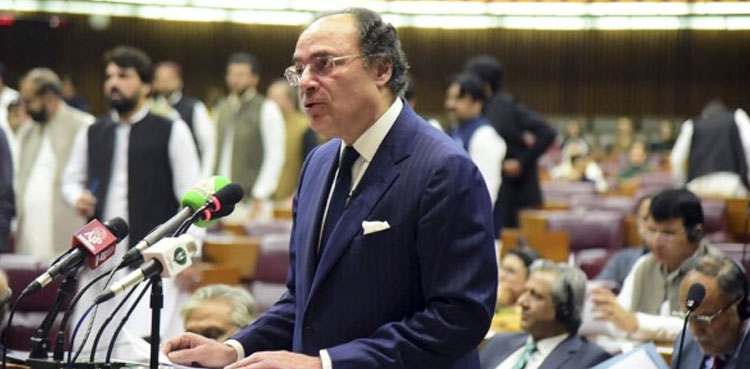 Muhammad Aurangzeb, Budget 2025-26
