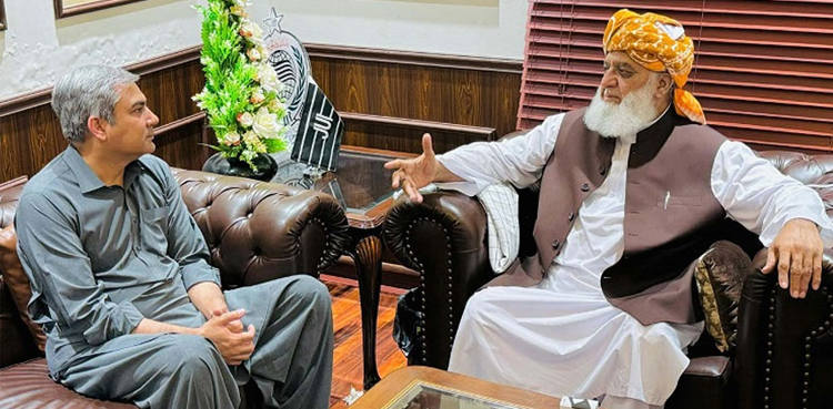 Mohsin Naqvi, Fazlur Rehman, JUI-F protest 