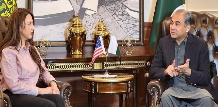 U.S. Ambassador, Interior Minister, Mohsin Naqvi, Natalie Baker