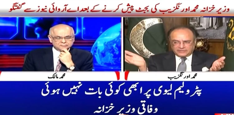 Muhammad Aurangzeb, Budget 2025-26, Carbon levy
