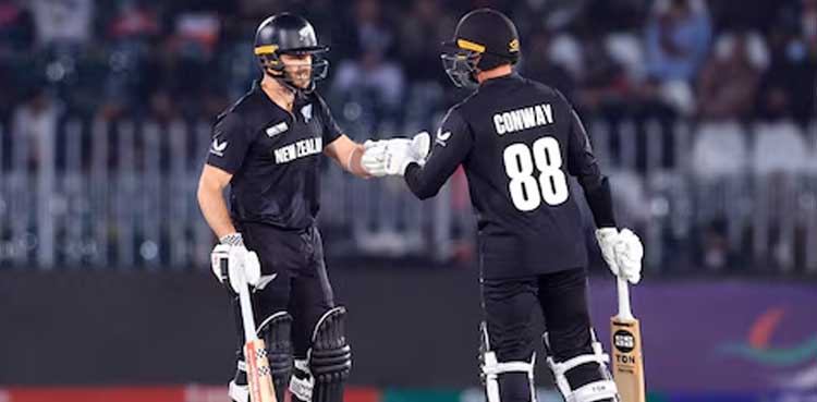 New Zealand, Cricket, central contracts