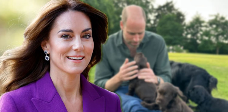 Prince William, Kate Middleton, Royal Family