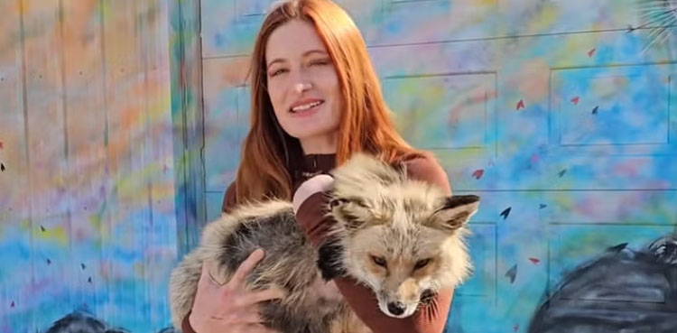 Save a fox, Mikayala Raines, Youtube