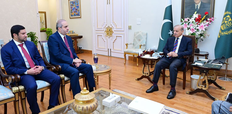 Shehbaz Sharif, Qatar, solidarity, Iran attack