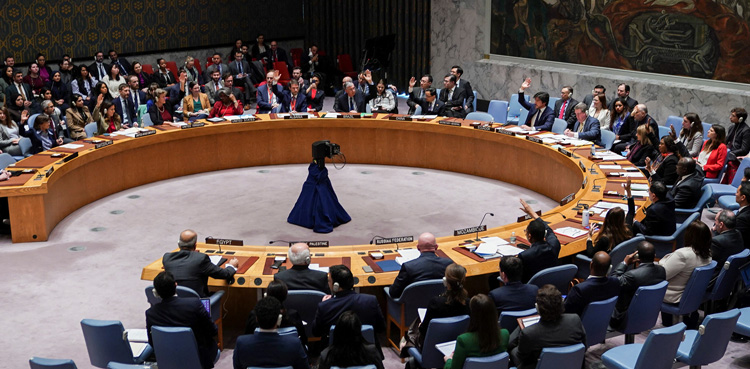 Pakistan, India, UNSC