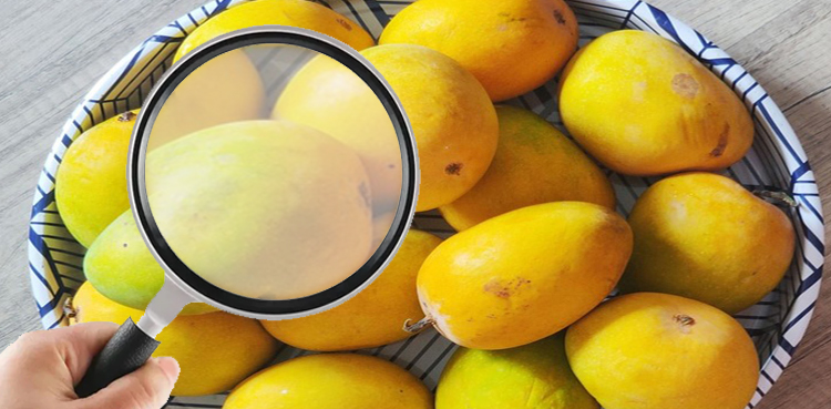 ripened mangoes , natural mangoes, chemically ripened mangoes, calcium carbide