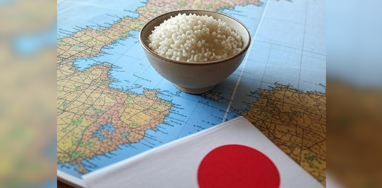 Japan rice auction 2025, rice distribution Japan, rice prices Japan, Ministry of Agriculture Japan