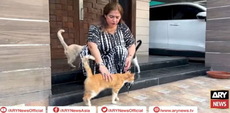 Nadia Khawaja Hassan, Animal-rescuer