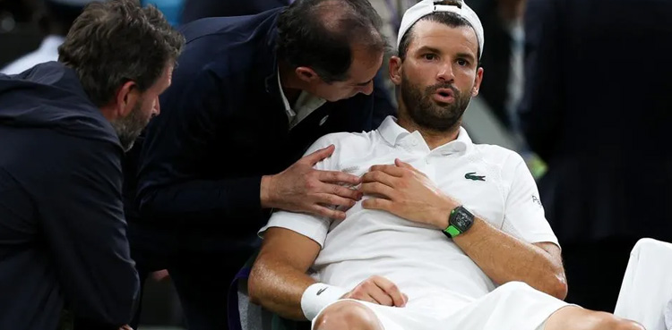 Grigor Dimitrov, Wimbledon, Jannik Sinner