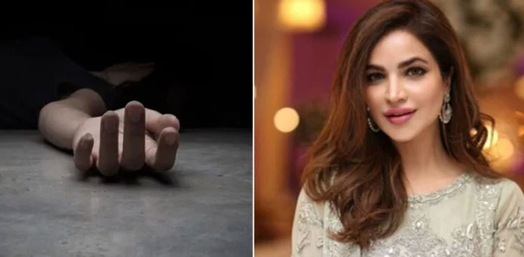Humaira Asghar, Police update, petition