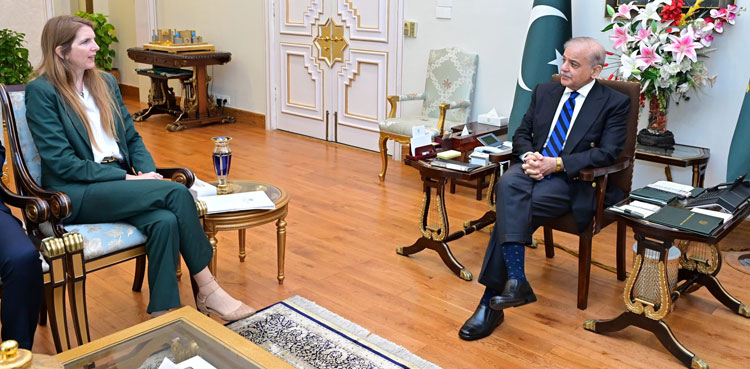 Pakistan, dialogue, India, PM Shehbaz, British High Commissioner