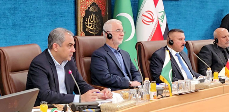 Pakistan, Iran, Iraq, regulations, pilgrims