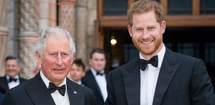 Prince Harry, King Charles, Royal Family, Prince Harry - King Charles