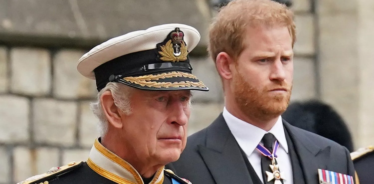 King Charles, Prince Harry, Royal Family