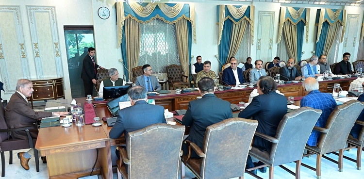 Skills Impact Bond, youth employment Pakistan, Shehbaz Sharif initiative, private investment for skills