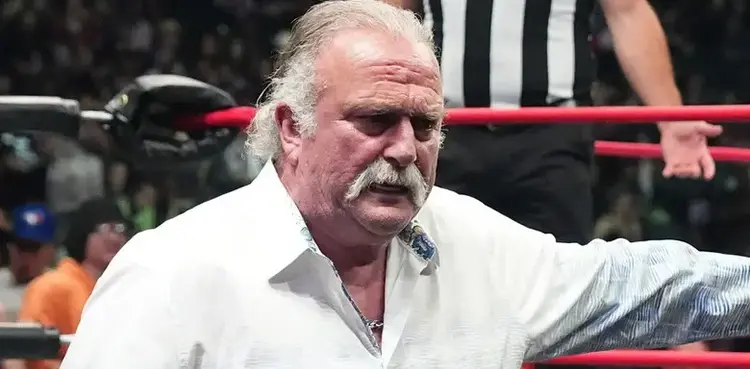 WWE: Unreal, Jake Roberts, Netflix, professional wrestling