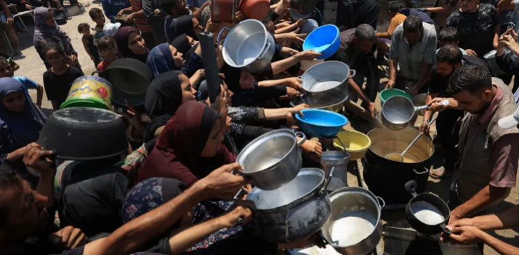 NGOs, mass starvation, Gaza