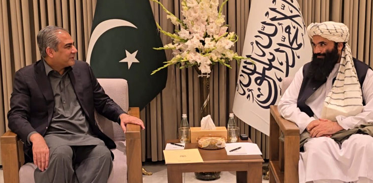 Pakistan Afghanistan border cooperation, Counterterrorism efforts, Mohsin Naqvi Kabul visit, Tehreek-e-Taliban Pakistan, Afghan refugee repatriation