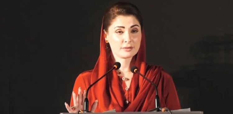 Punjab Enforcement and Regulatory Authority, PERA launch, PERA, Maryam Nawaz, anti-hoarding Punjab