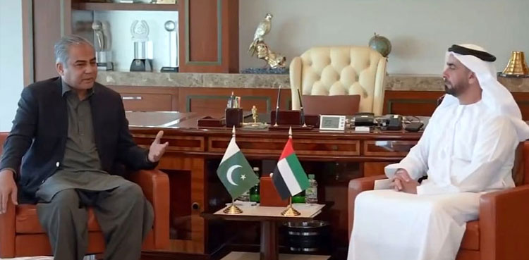 UAE, visa, Pakistani citizens