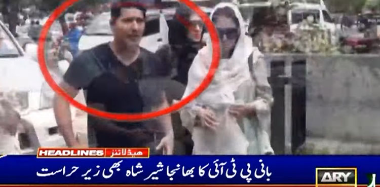 Aleema Khan, Sher Shah, PTI, Imran Khan, Pakistan